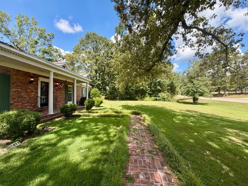 No Caption