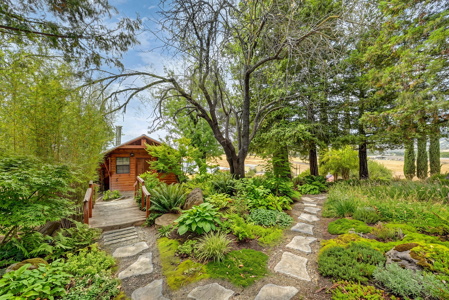 5-Acre Esparto Country Home with Views and bonus mancave/studio - image 45