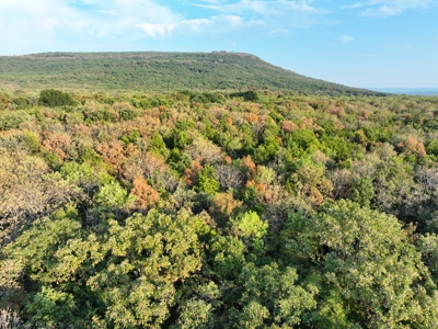 Ultimate Ranch Property For A Family That Loves The Outdoors - image 40