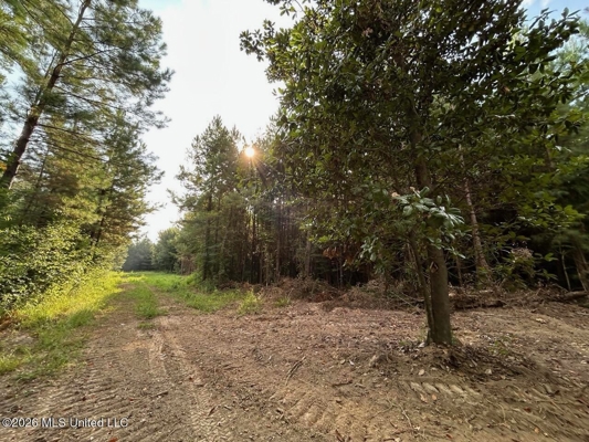 80± Acre Riverfront Hunting Land Near Meadville, MS