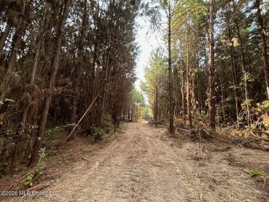 80± Acre Riverfront Hunting Land Near Meadville, MS