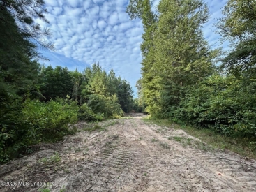 Listing 116