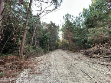 Listing 116