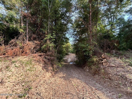 80± Acre Riverfront Hunting Land Near Meadville, MS