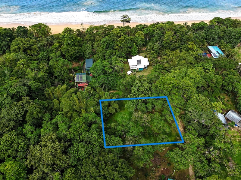 No Caption