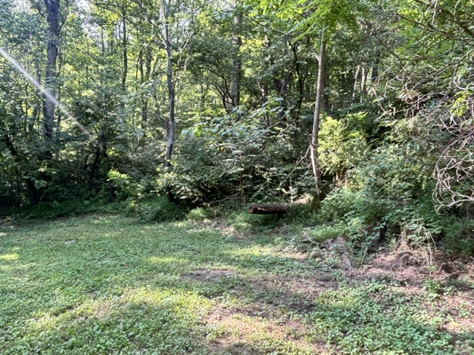 Off-Grid Cabins for Sale in Ferrum VA
