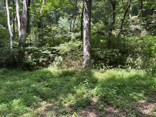Off-Grid Cabins for Sale in Ferrum VA