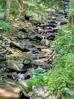 Off-Grid Cabins for Sale in Ferrum VA