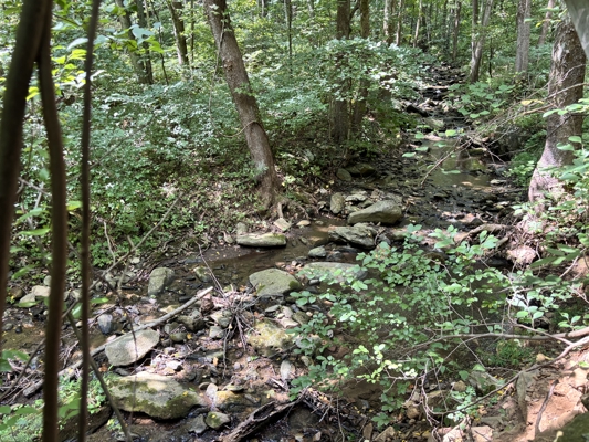 Off-Grid Cabins for Sale in Ferrum VA