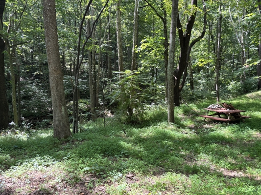 Off-Grid Cabins for Sale in Ferrum VA