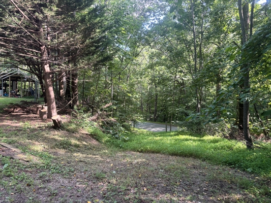 Off-Grid Cabins for Sale in Ferrum VA