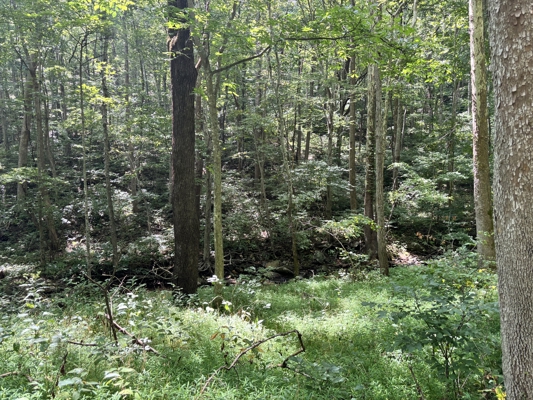 Off-Grid Cabins for Sale in Ferrum VA