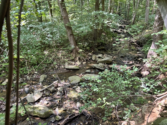 Off-Grid Cabins for Sale in Ferrum VA