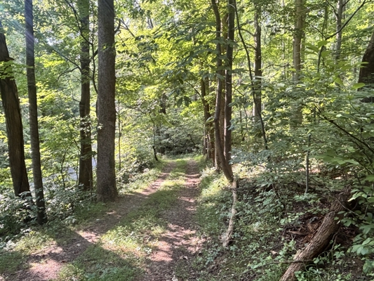 Off-Grid Cabins for Sale in Ferrum VA