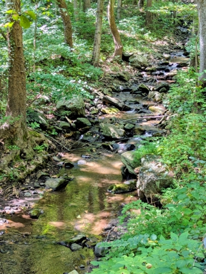 Off-Grid Cabins for Sale in Ferrum VA