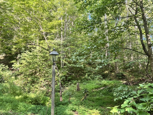 Off-Grid Cabins for Sale in Ferrum VA