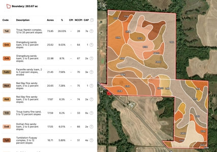 282ac Farmland For Sale Headland Alabama - Henry County - image 29