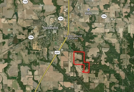 282ac Farmland For Sale Headland Alabama - Henry County - image 11