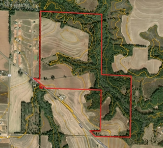 282ac Farmland For Sale Headland Alabama - Henry County - image 32