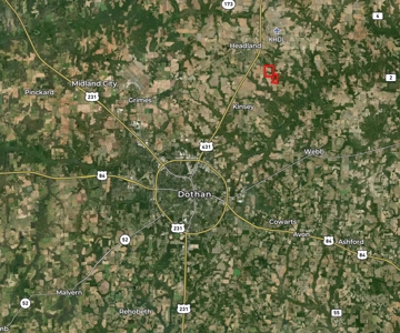 282ac Farmland For Sale Headland Alabama - Henry County - image 12