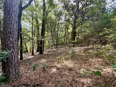 282ac Farmland For Sale Headland Alabama - Henry County - image 49