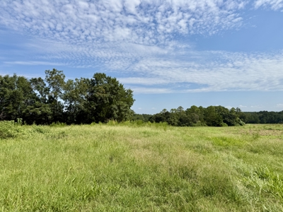 282ac Farmland For Sale Headland Alabama - Henry County - image 10