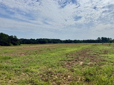 282ac Farmland For Sale Headland Alabama - Henry County - image 15