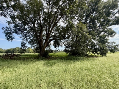 282ac Farmland For Sale Headland Alabama - Henry County - image 24