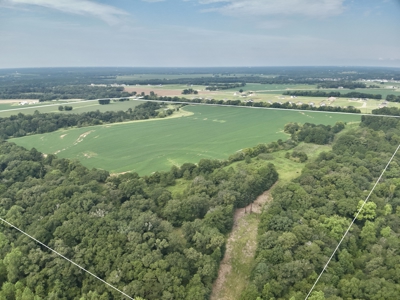 282ac Farmland For Sale Headland Alabama - Henry County - image 26