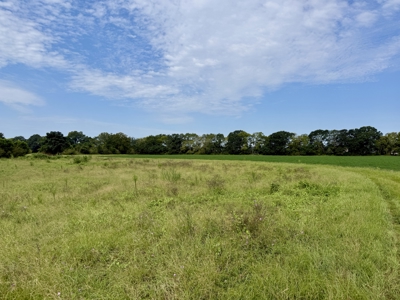 282ac Farmland For Sale Headland Alabama - Henry County - image 33