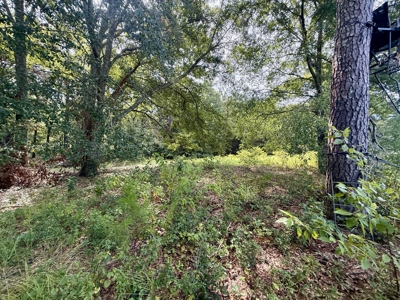 282ac Farmland For Sale Headland Alabama - Henry County - image 47