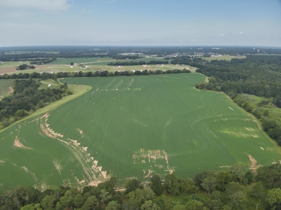 282ac Farmland For Sale Headland Alabama - Henry County - image 18