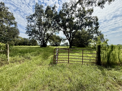 282ac Farmland For Sale Headland Alabama - Henry County - image 13