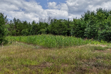 117± Acres of Irrigated Farmland and Trophy Whitetail Habitat - image 29