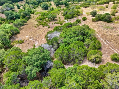 5.629 Acres in Twin Caverns Ranch | Oglesby, Texas - image 14
