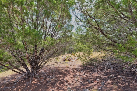 5.629 Acres in Twin Caverns Ranch | Oglesby, Texas - image 2