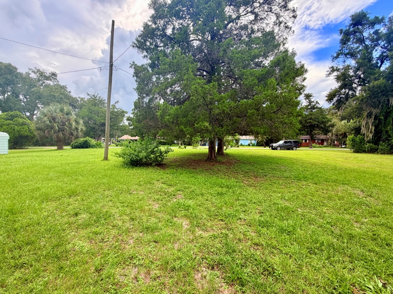 No Caption