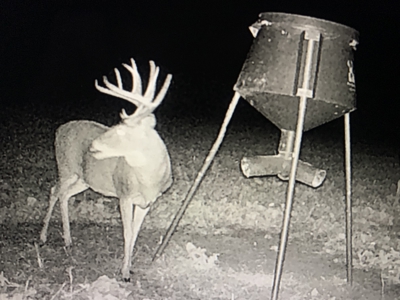 Cedar Hills Ranch - Elk County Kansas 320 Acres - image 41