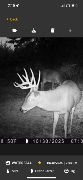 No Caption