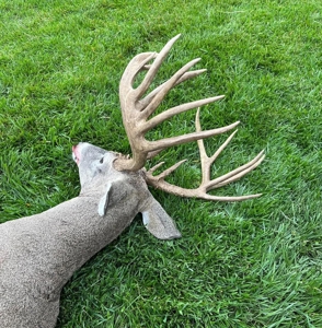 Cedar Hills Ranch - Elk County Kansas 320 Acres - image 24
