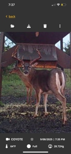 Cedar Hills Ranch - Elk County Kansas 320 Acres - image 43