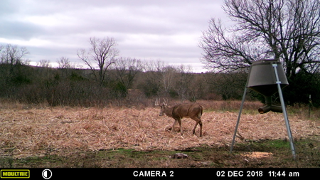 Cedar Hills Ranch - Elk County Kansas 320 Acres - image 48