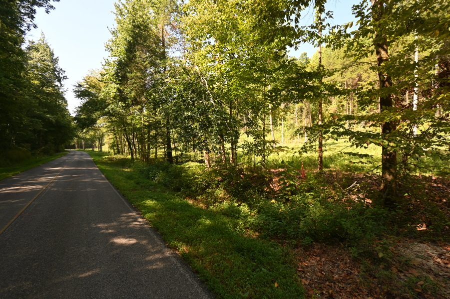 No Caption