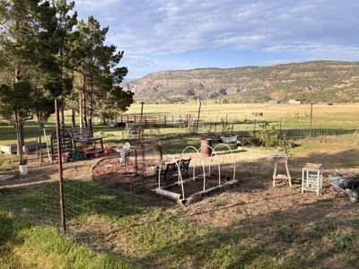 Colorado Mountain Home, ADU, Irrigated Land, Creek Frontage - image 20