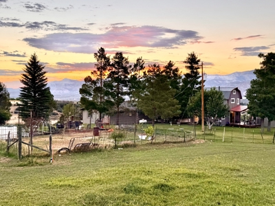 Colorado Mountain Home, ADU, Irrigated Land, Creek Frontage - image 15