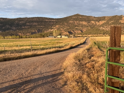 Colorado Mountain Home, ADU, Irrigated Land, Creek Frontage - image 19