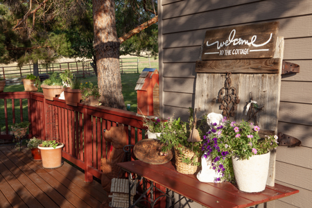 Colorado Mountain Home, ADU, Irrigated Land, Creek Frontage - image 6