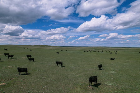 Big Sky Ranch | Malta, Montana | 11,367 +/- Acres - image 30