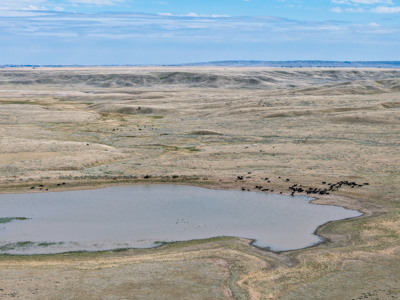 Big Sky Ranch | Malta, Montana | 11,367 +/- Acres - image 2