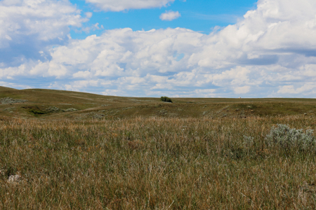 Big Sky Ranch | Malta, Montana | 11,367 +/- Acres - image 16